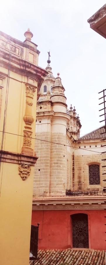 Atico Estudio Con Terraza - Centro Sevilla 외부 사진